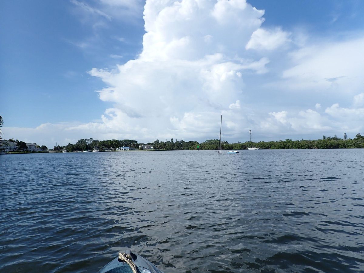 View from a kayak across a Tampa Bay anchorage during a field survey